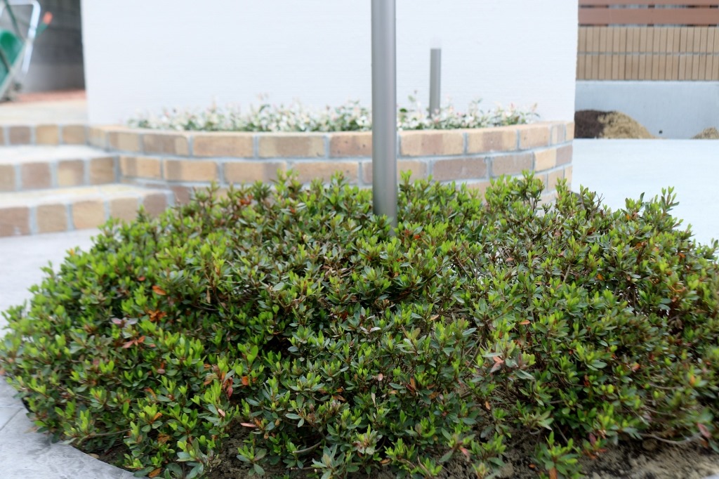 外構低木の植え込み。 | エクステリアのトレド 長野市